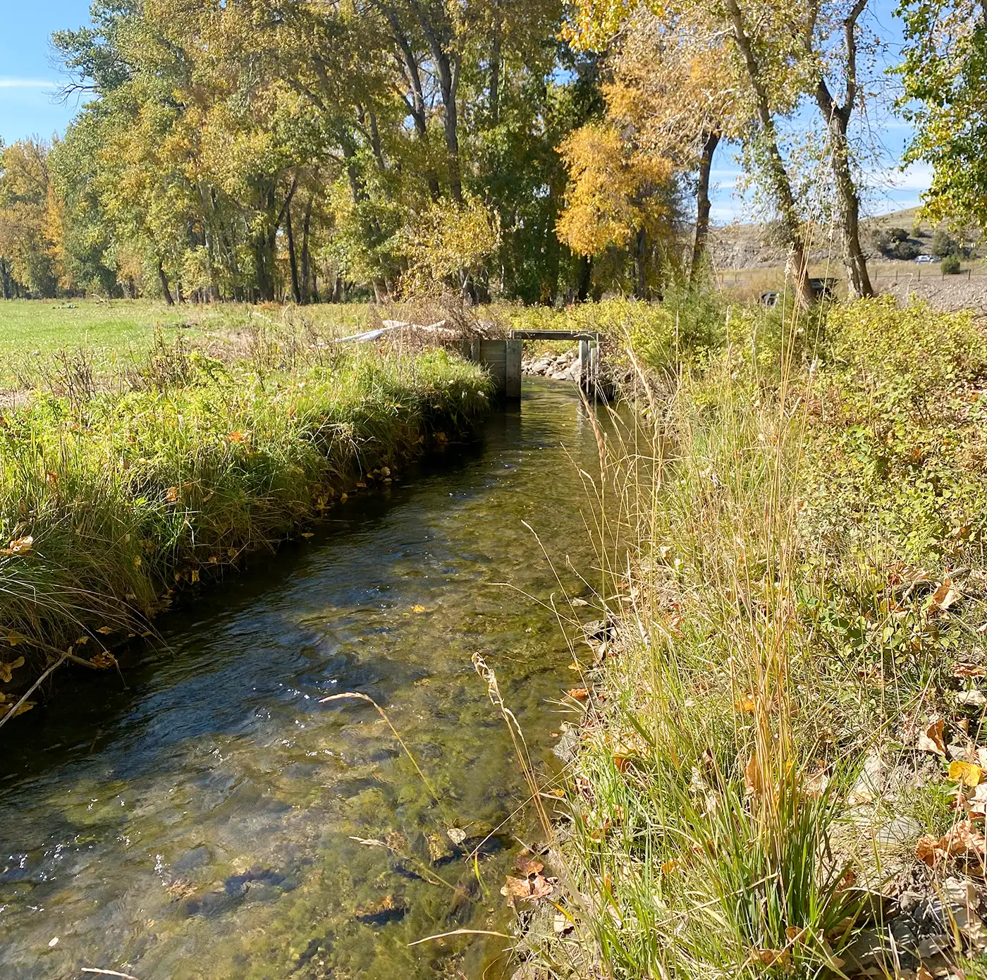 Water Rights 2 22-civil-water-resource-engineering-copy copy