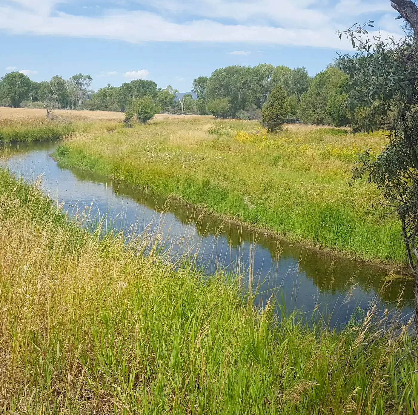 3-groundwater-surface-water-field-services