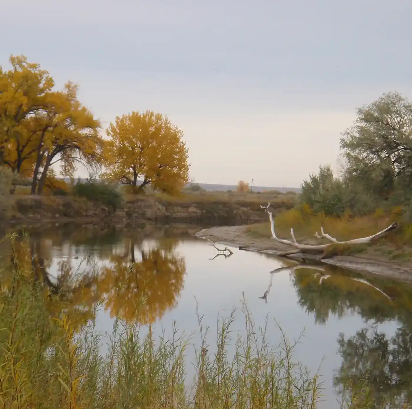 3-water-rights-engineering