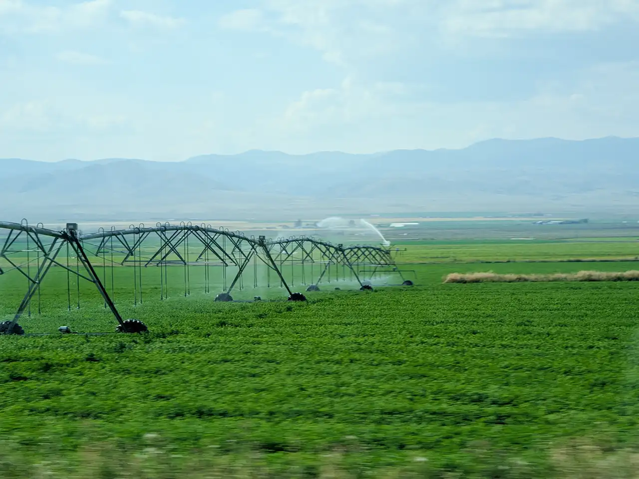 Water Rights 5 Bright green farmland being irrigated with center pivot sprinkler system under a cloudy sky.